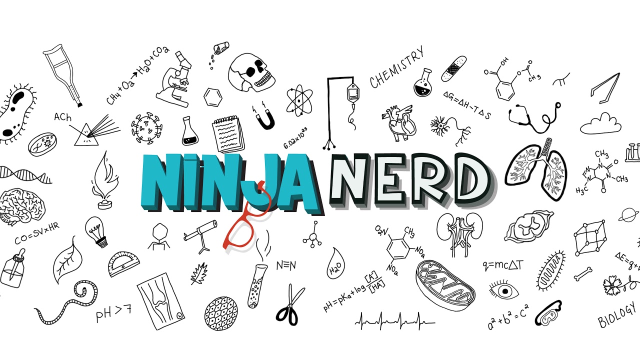 نوت‌های نینجانرد ( Ninjanerd Notes )